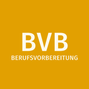 BVB Folder download