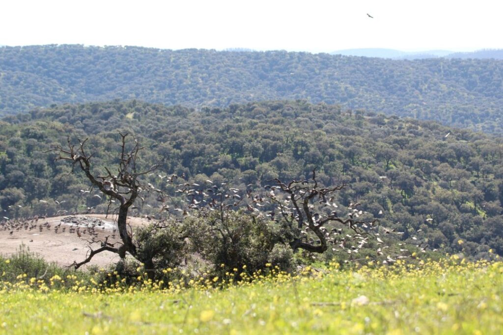 Landschaft